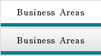 Business Areas