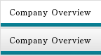 Company Overview